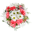 Brimming with fresh energy and crafted with an eye for local elegance, this bouquet embodies the cheerful spirit of Enfield Town in full bloom. At its centre, pure white daisies open wide, their lime-green centres bright and welcoming, while coral-pink carnations add a joyful, ruffled texture throughout. Delicate clouds of baby's breath drift between the blooms, tracing an ethereal pattern that brings airy softness and gentle movement. Subtle alstroemeria buds streaked with pink and lilac wait to unfurl, hinting at blooms yet to come and the promise of new beginnings, much like spring arrives along Chase Side. The whole arrangement is encircled with eucalyptus and deep green leaves, providing a fresh contrast and framing each blossom for maximum effect. This bouquet is designed to celebrate life's happiest moments or simply lift someone's spirits, reflecting the dedication of Enfield Town's skilled florists and ensuring every local delivery feels personal, heartfelt, and gleaming with a sense of new possibility.